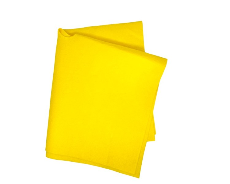 Trapero para Piso Danzarina 240 grs. 50x60CM Unidad